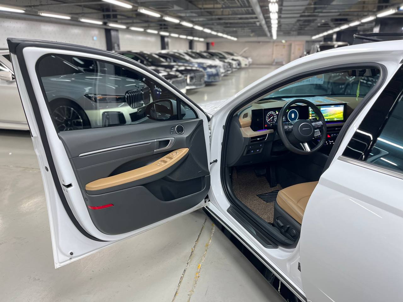 photo_6@10-12-2025_04-20-42