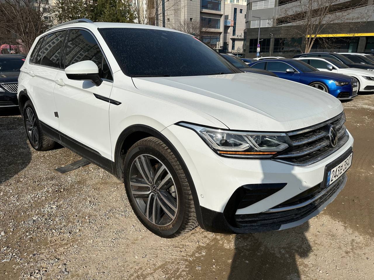 photo_29@21-01-2026_03-20-21