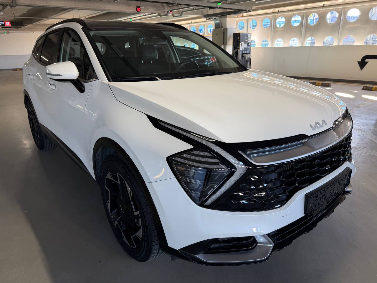 photo_29@22-01-2026_08-17-13