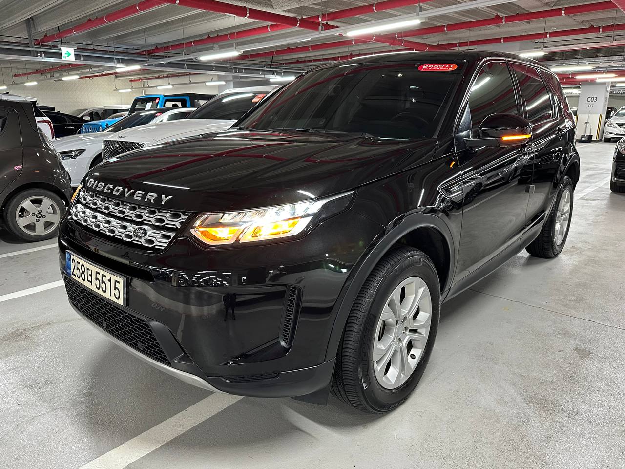 photo_31@08-01-2026_11-55-06