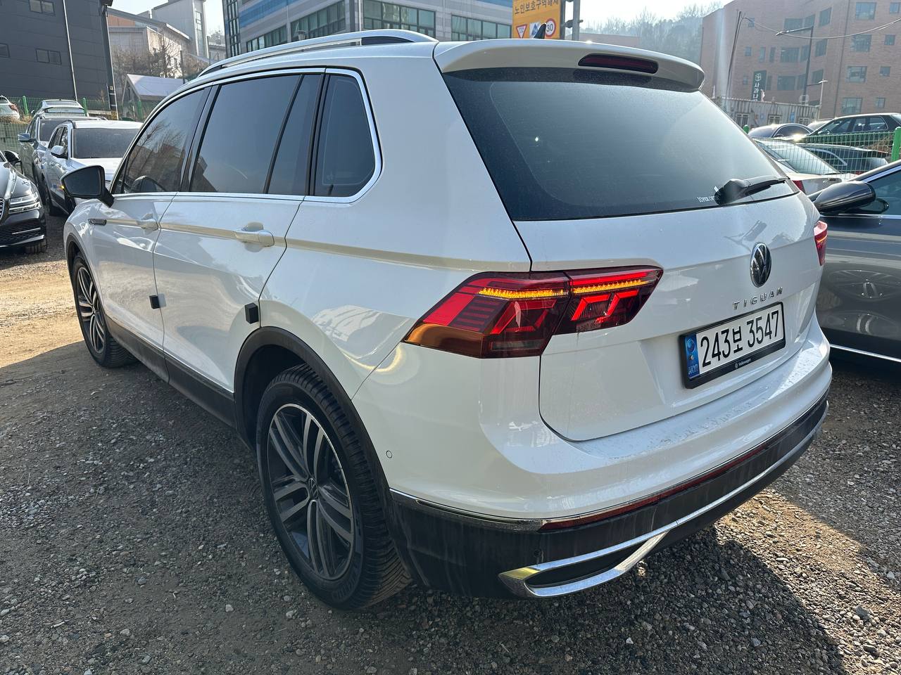 photo_31@21-01-2026_03-20-21