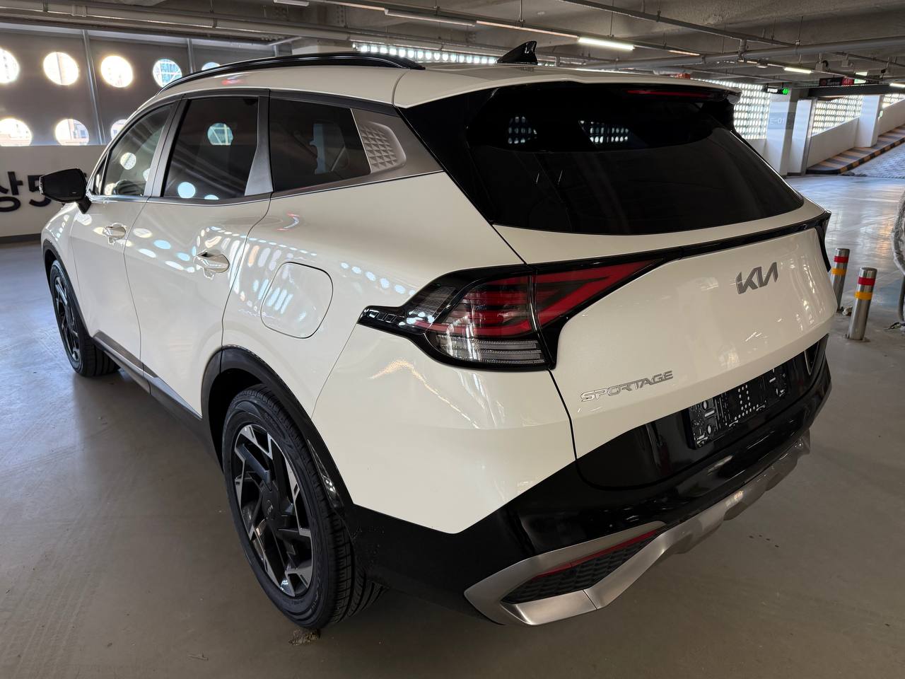 photo_31@22-01-2026_08-17-13