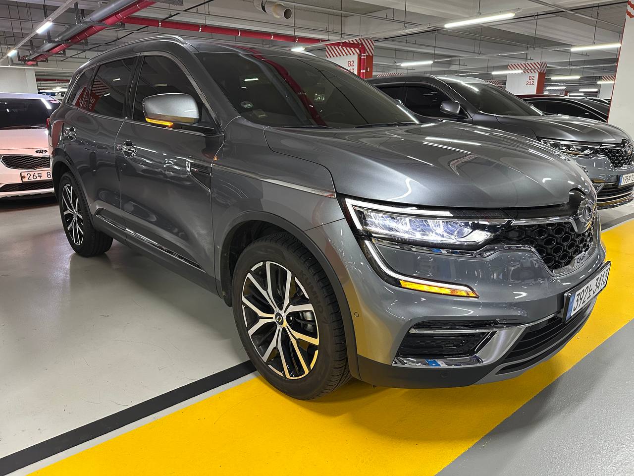 photo_33@29-01-2026_05-08-44