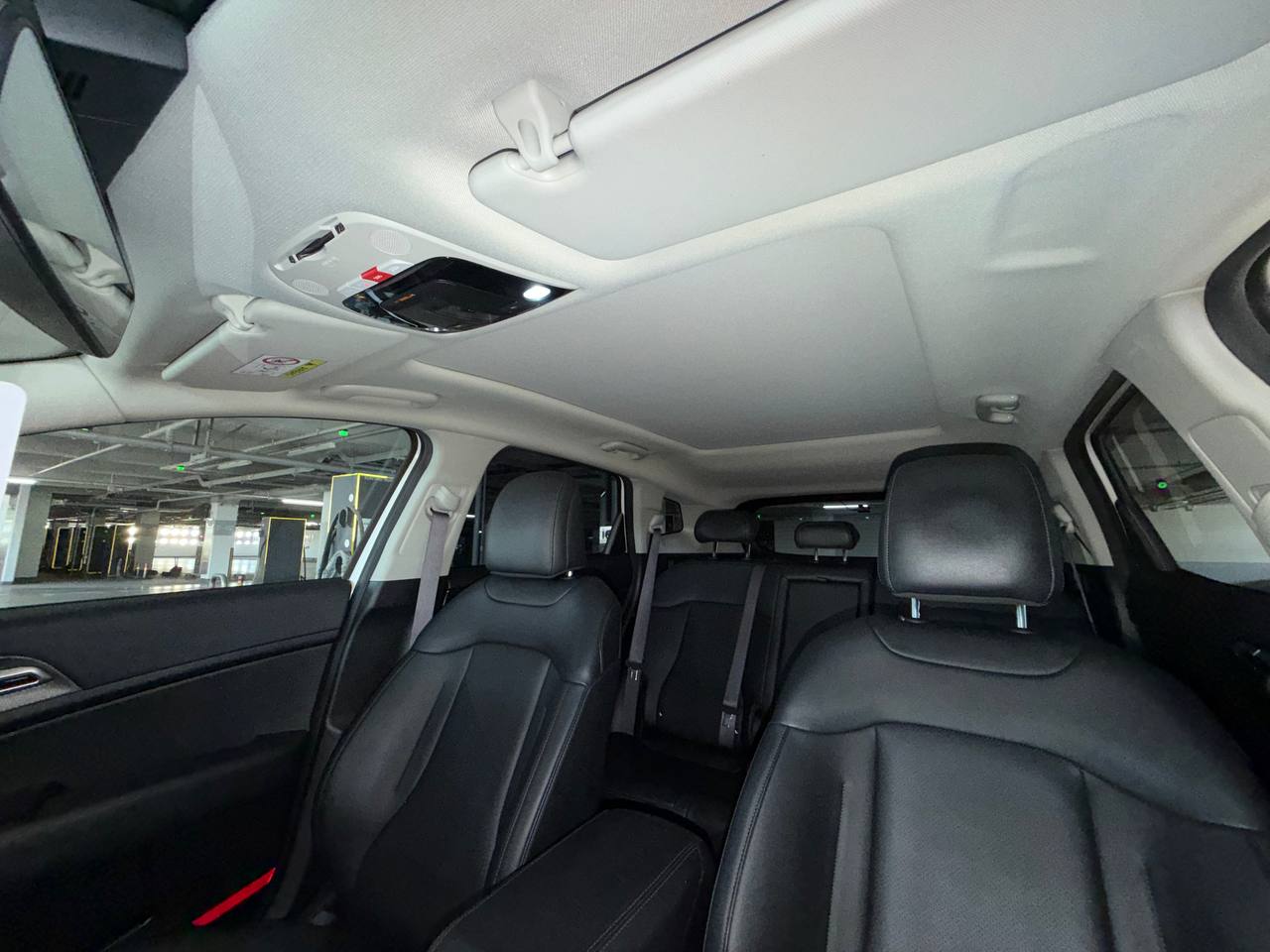 photo_37@22-01-2026_08-17-13