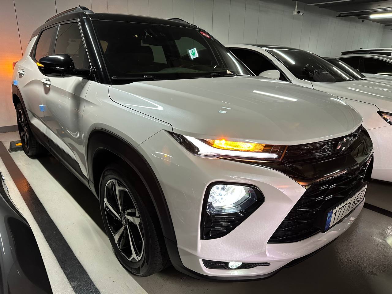 photo_45@29-01-2026_05-13-39