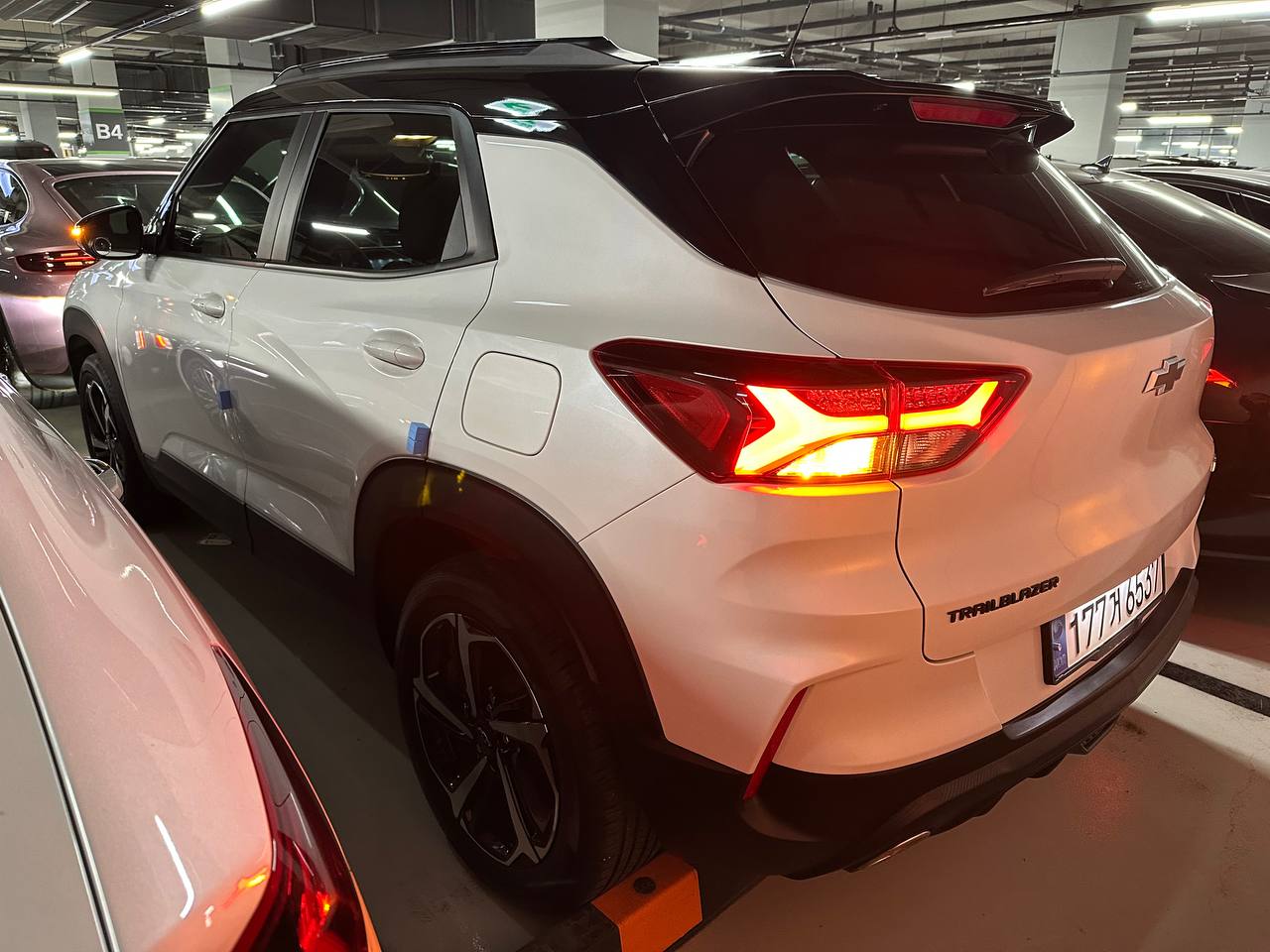 photo_47@29-01-2026_05-13-39