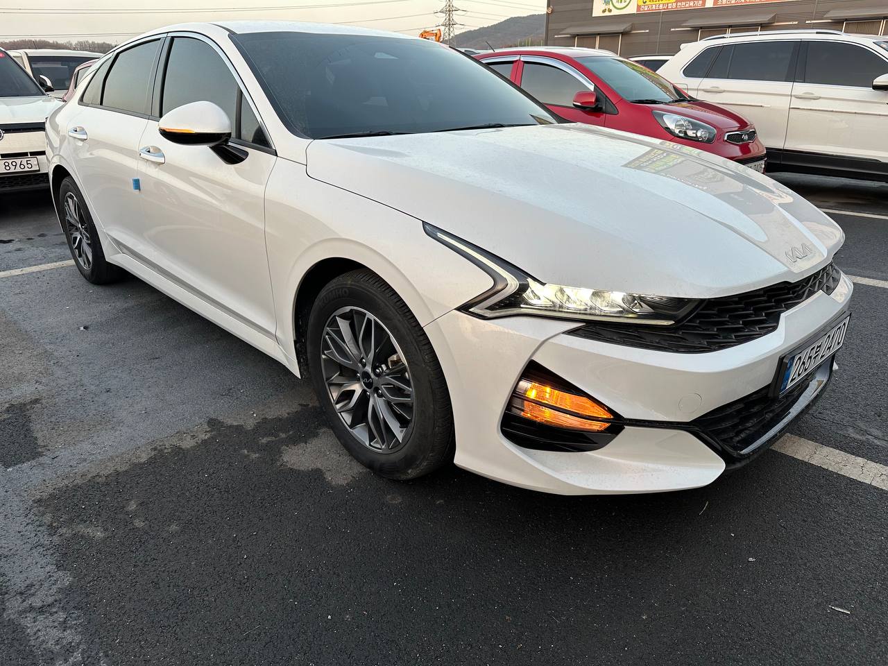 photo_5@16-01-2026_13-04-02