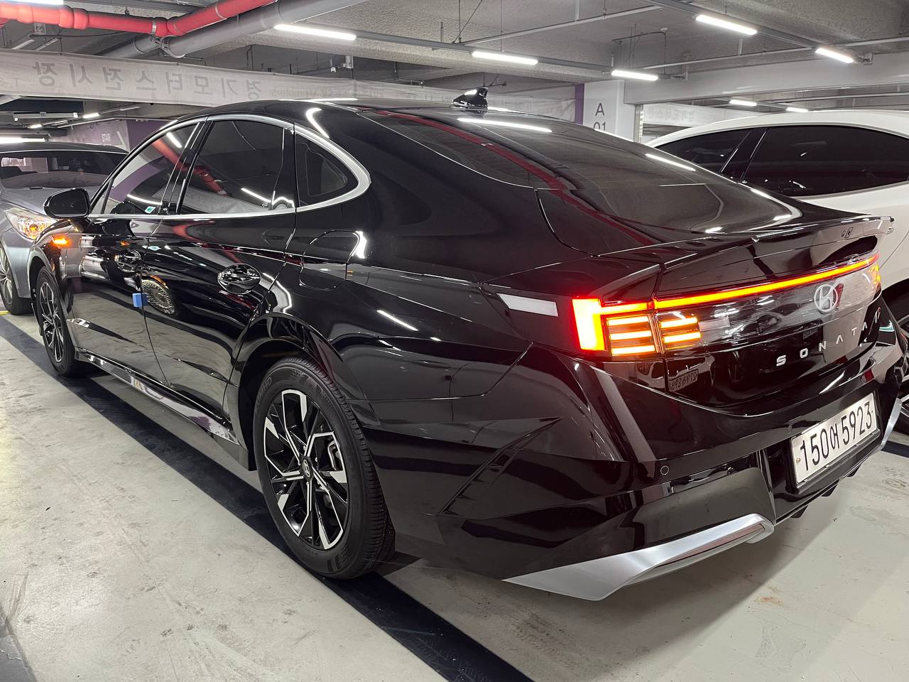 photo_27@25-02-2026_11-12-22