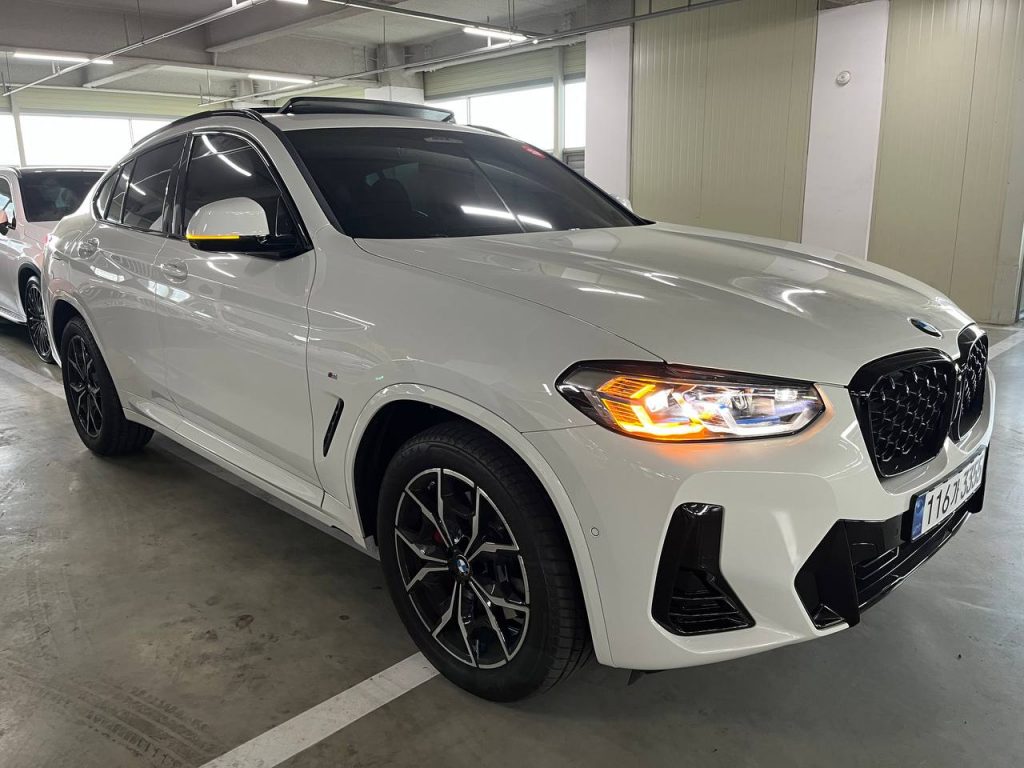BMW X4 (G02) xDrive 20i M Sport Pro