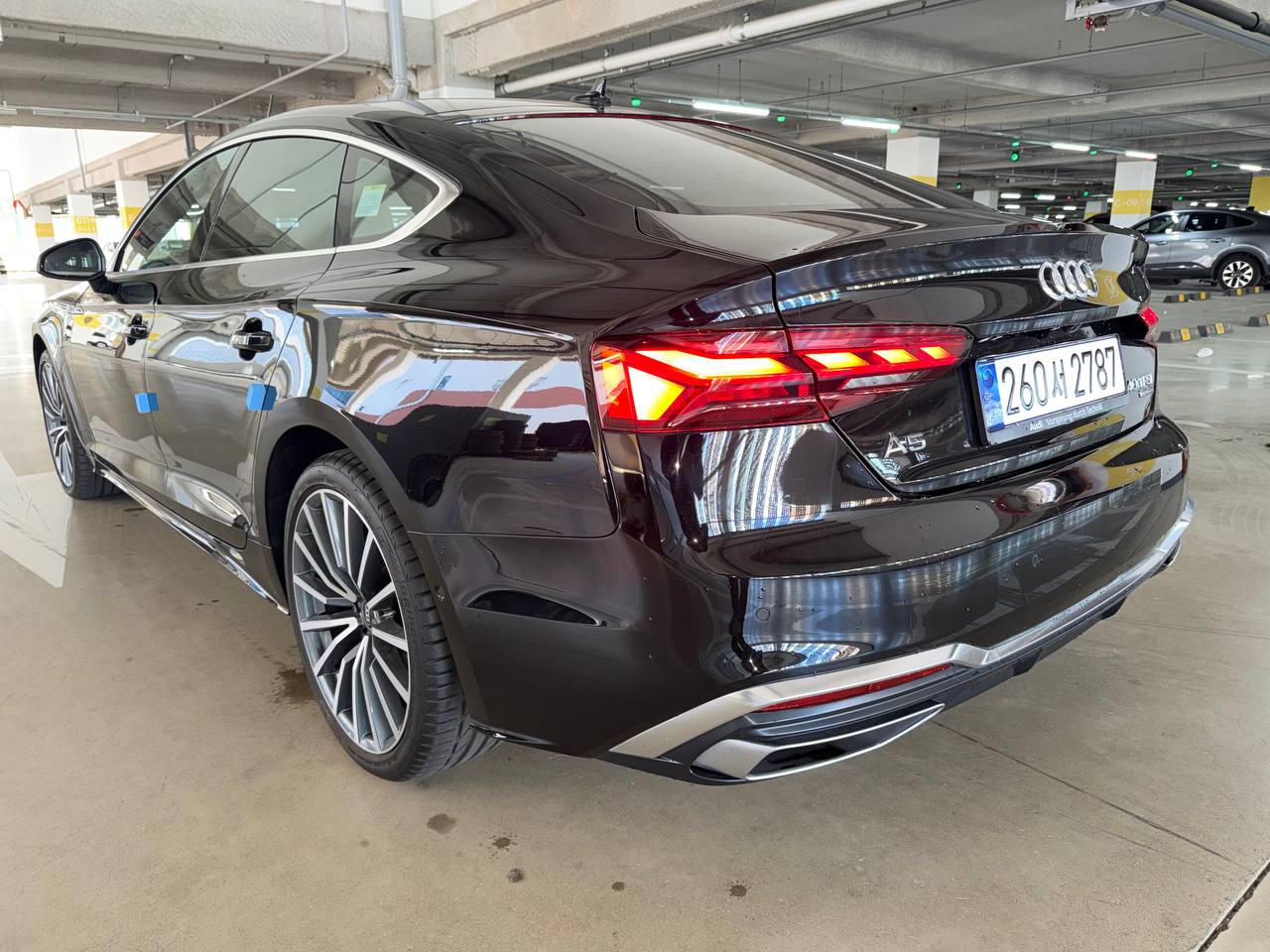 photo_49@13-03-2026_08-35-35