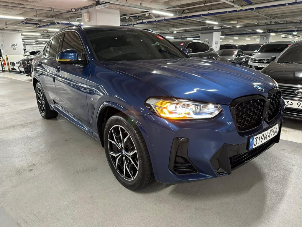 BMW X4 (G02) xDrive 20i M Sport Pro