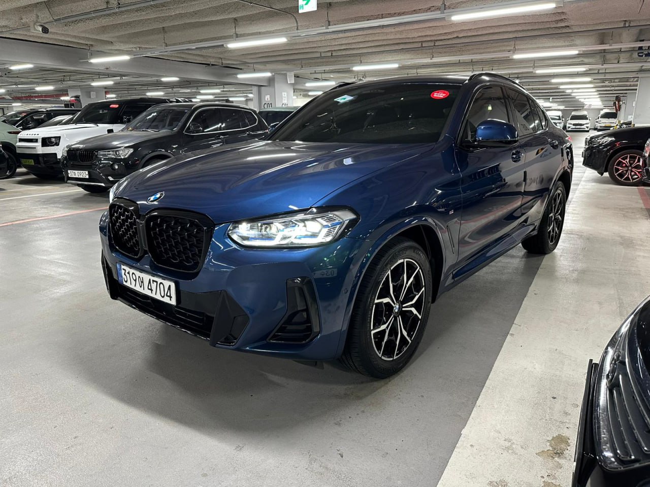 BMW X4 (G02) xDrive 20i M Sport Pro