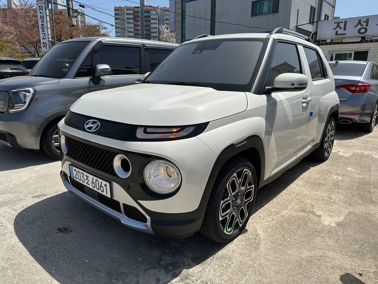 photo_48@20-04-2026_04-47-02