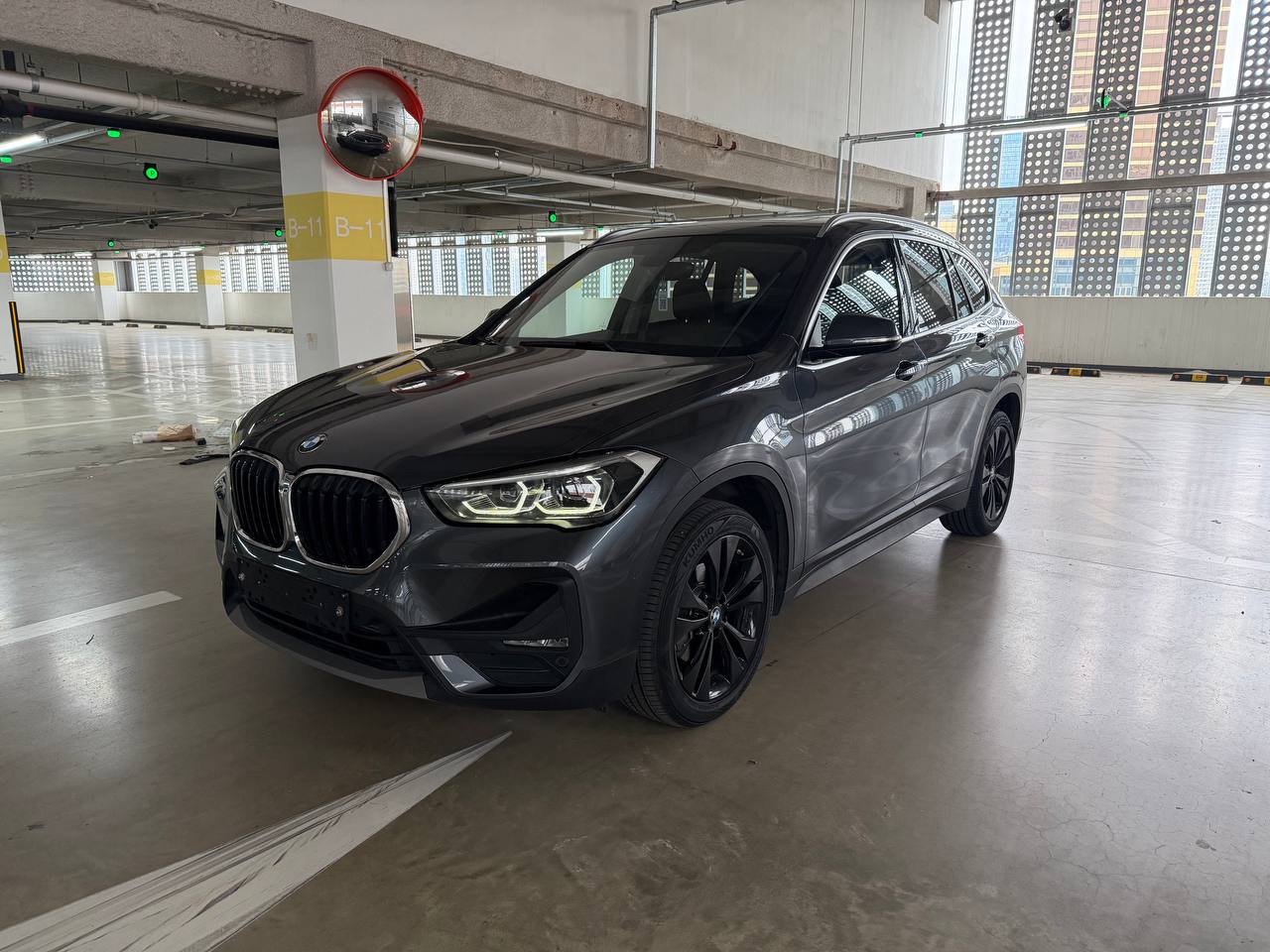 BMW X1 (F48) xDrive 18d Advantage