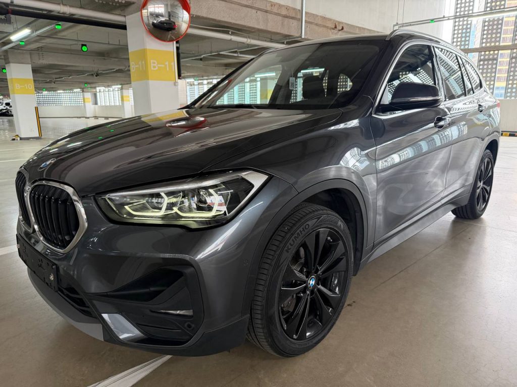 BMW X1 (F48) xDrive 18d Advantage