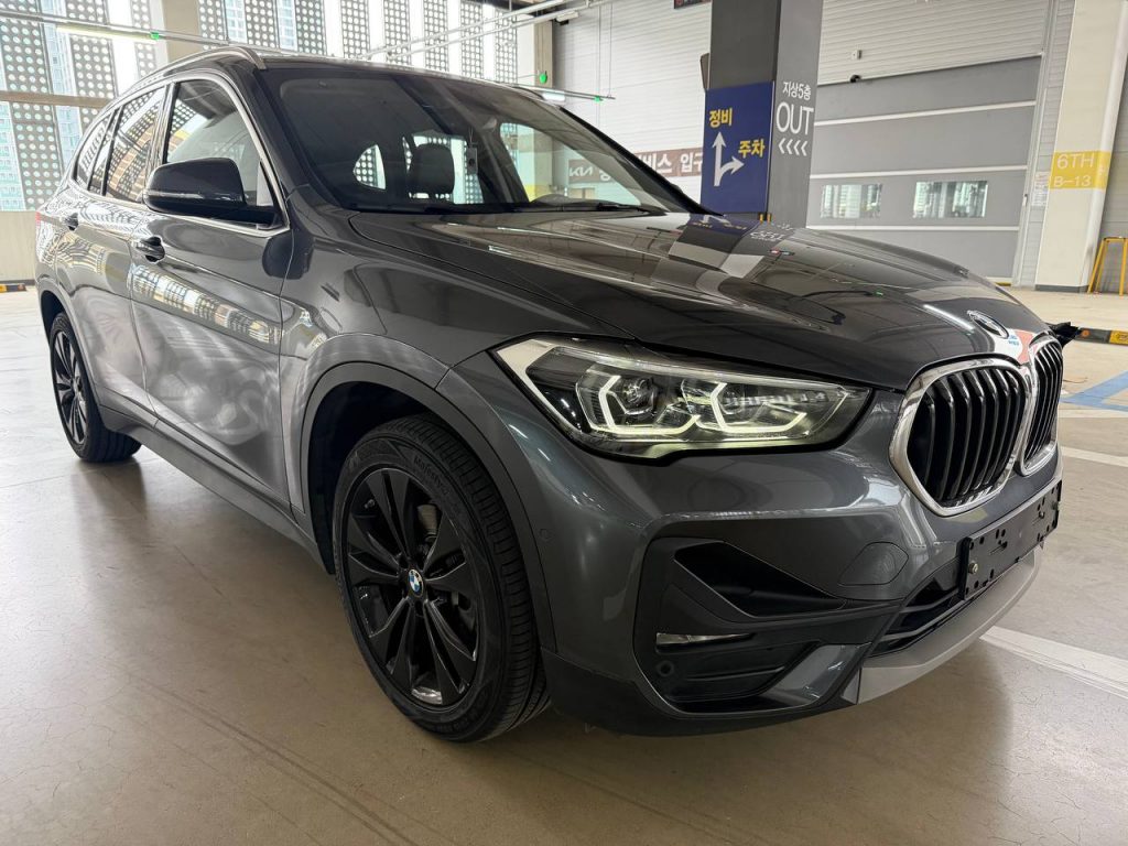 BMW X1 (F48) xDrive 18d Advantage