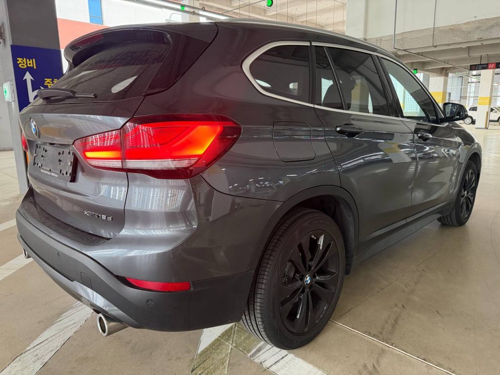 BMW X1 (F48) xDrive 18d Advantage