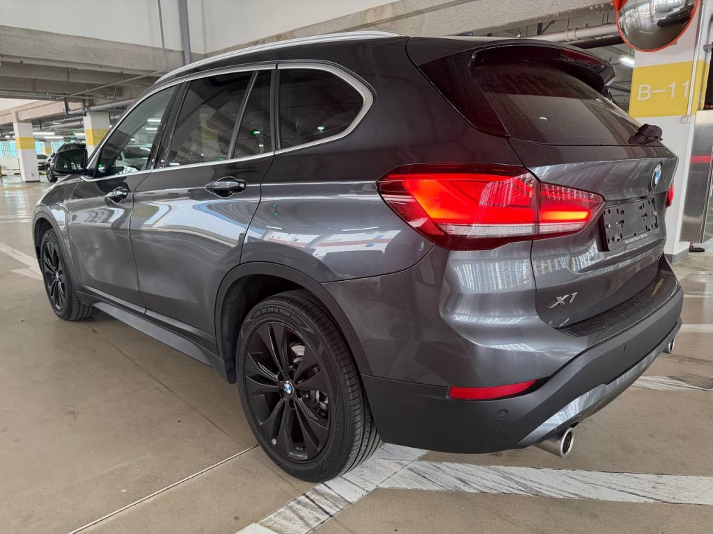 BMW X1 (F48) xDrive 18d Advantage