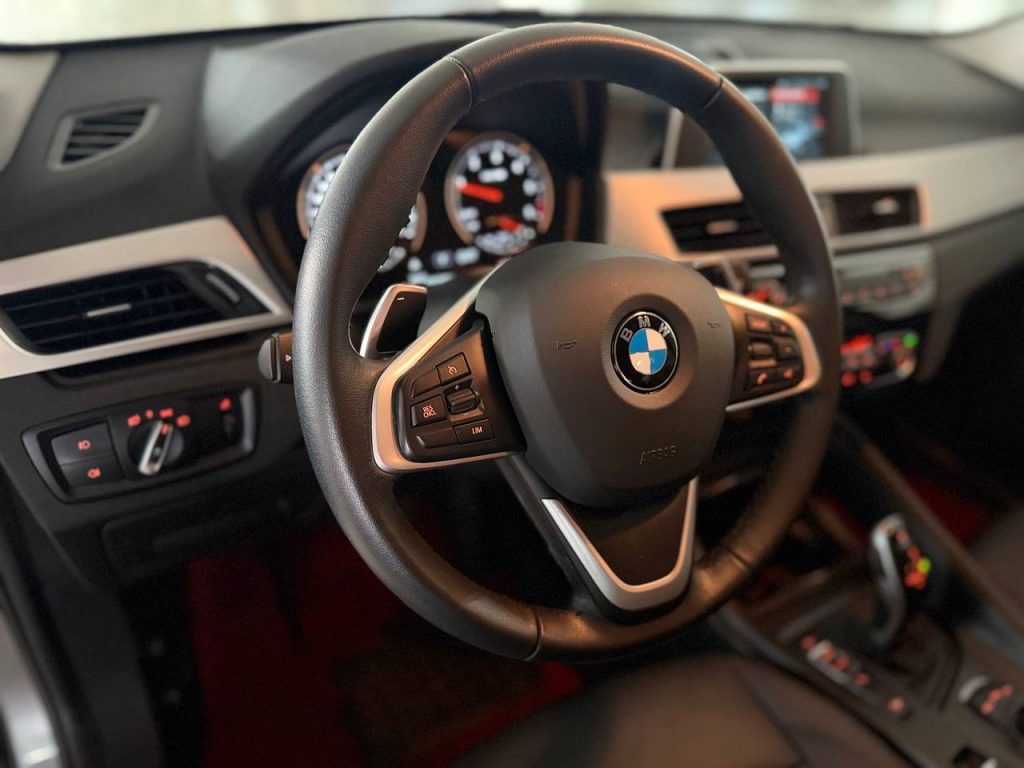BMW X1 (F48) xDrive 18d Advantage