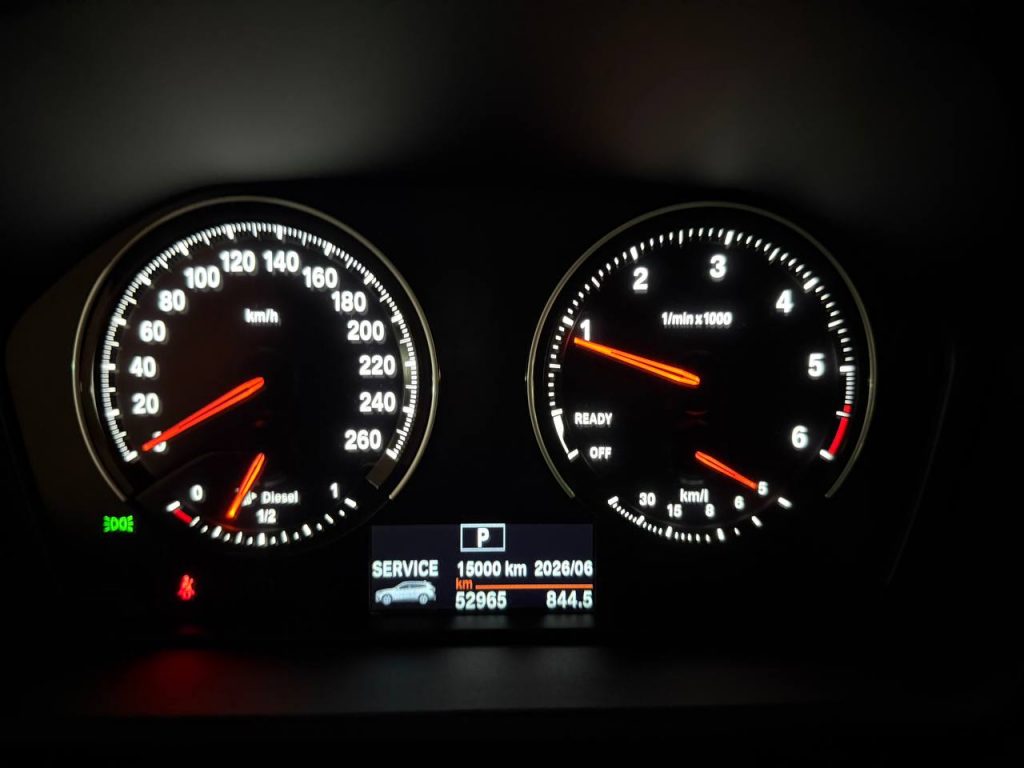 BMW X1 (F48) xDrive 18d Advantage