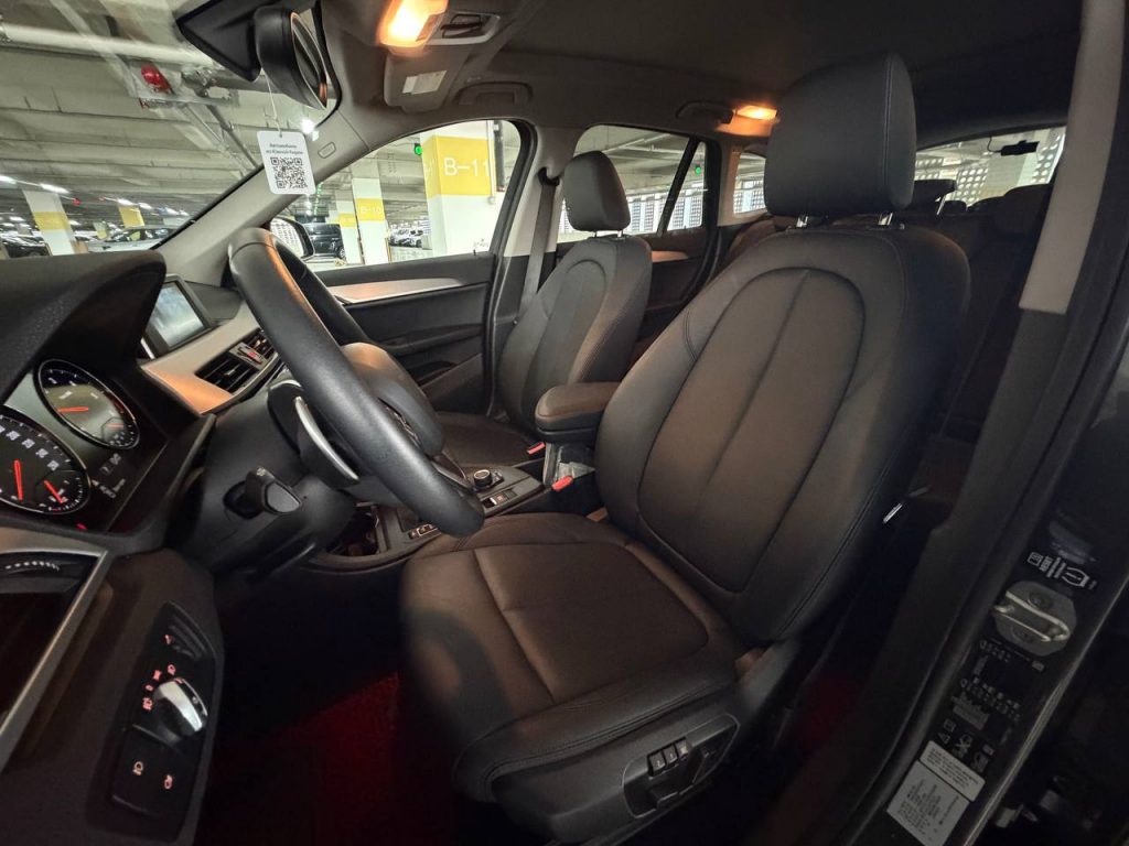 BMW X1 (F48) xDrive 18d Advantage