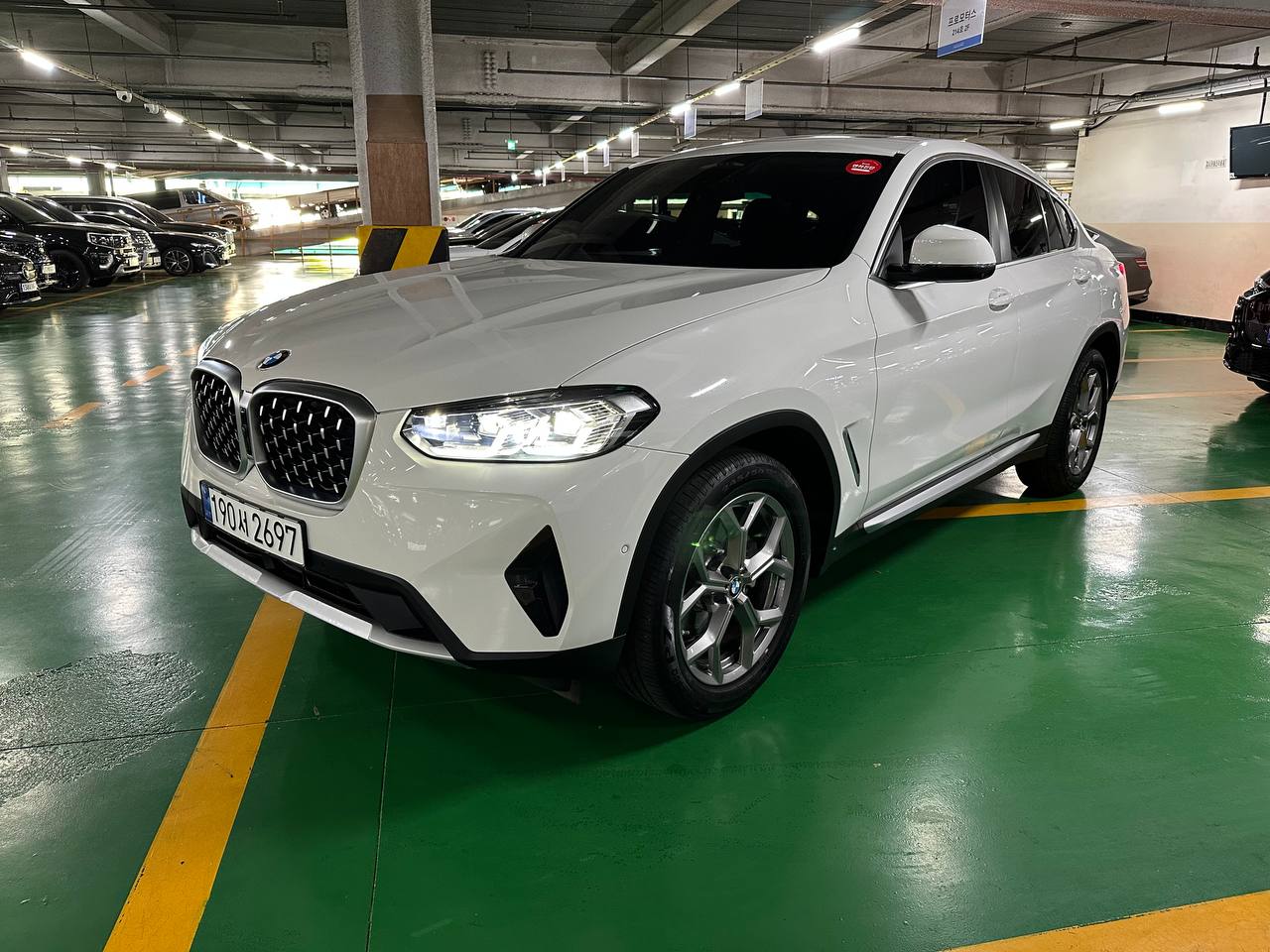BMW X4 (G02) xDrive 20d xLine