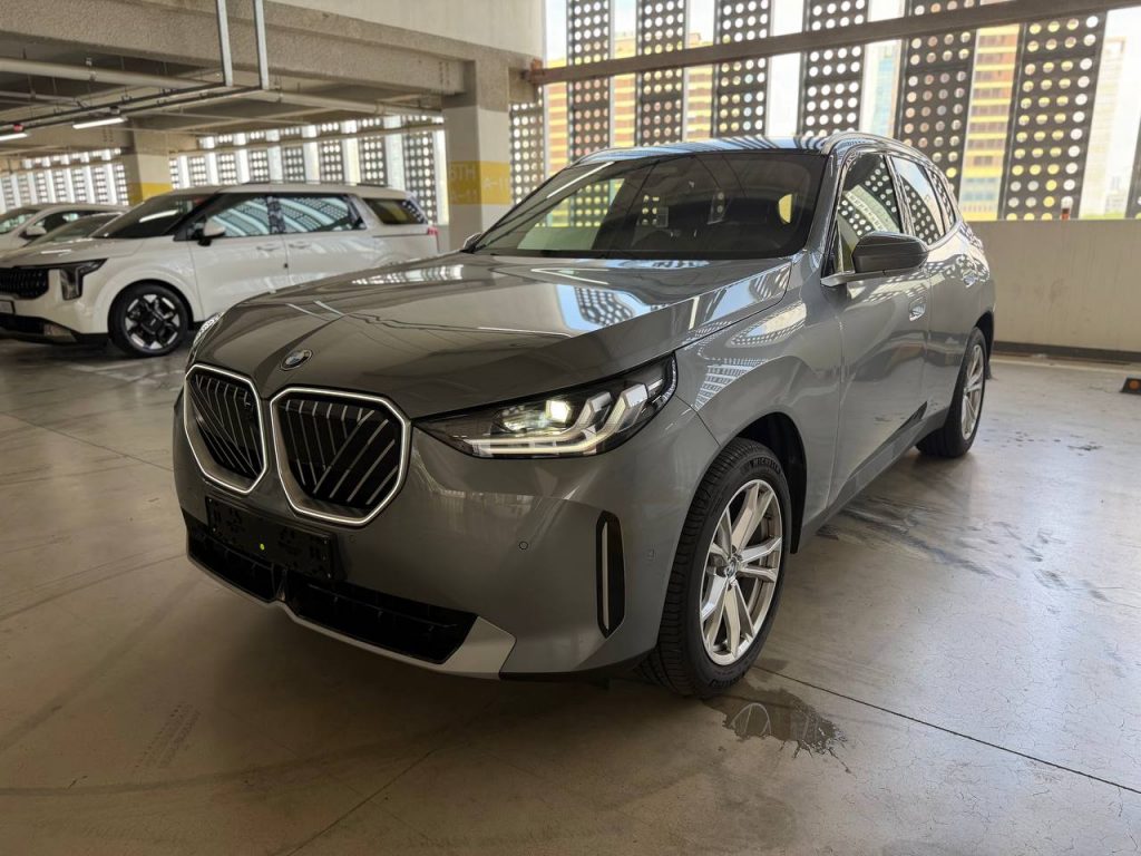 BMW X3 (G01) xDrive 20