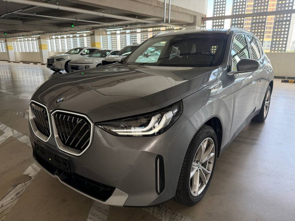 BMW X3 (G01) xDrive 20