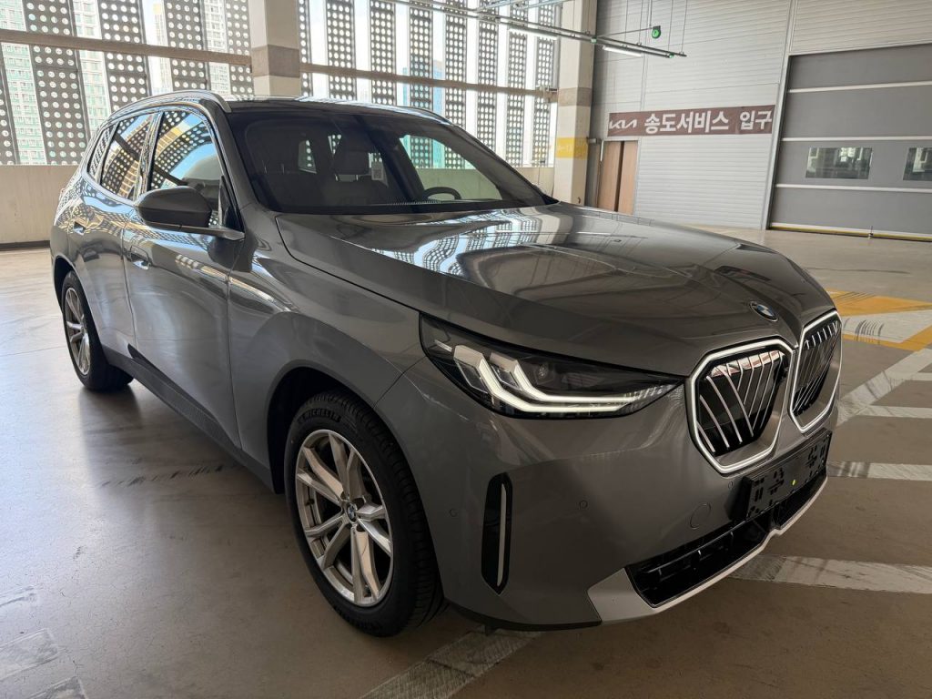 BMW X3 (G01) xDrive 20