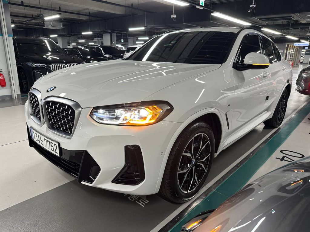 BMW X4 (G02) xDrive 20i M Sport