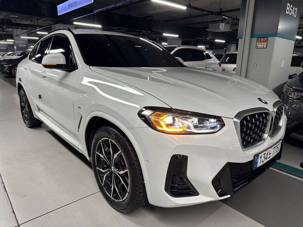 BMW X4 (G02) xDrive 20i M Sport