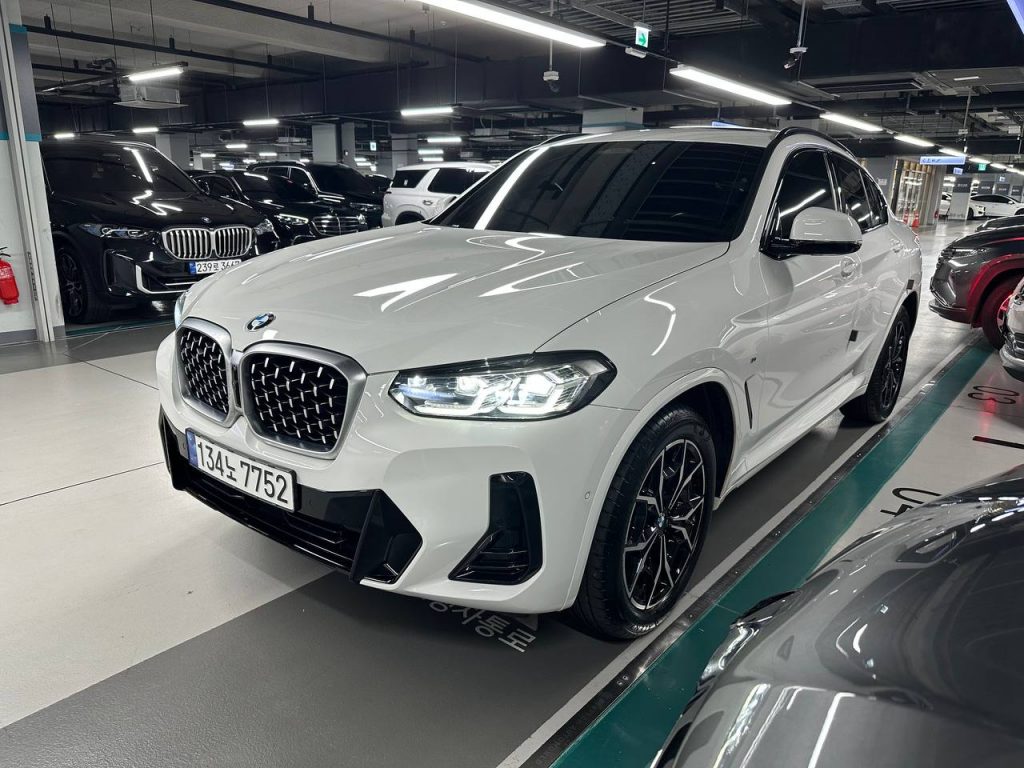 BMW X4 (G02) xDrive 20i M Sport