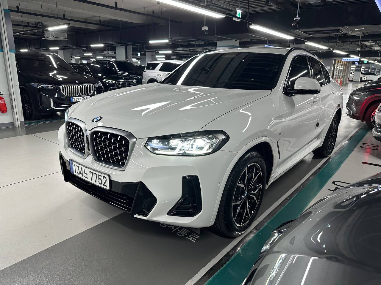 BMW X4 (G02) xDrive 20i M Sport